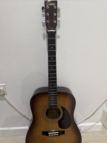 Brand new fresh guitar - a,