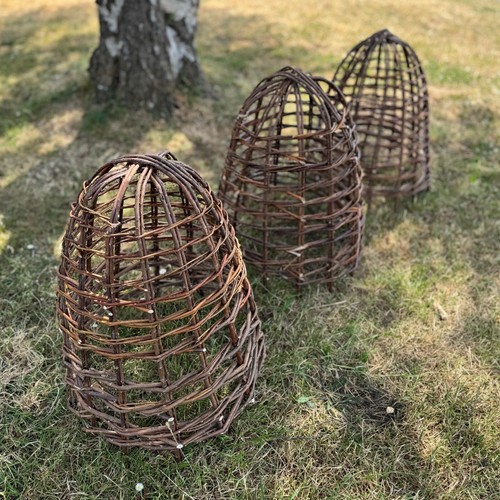 Willow bell cloche - willow, garden