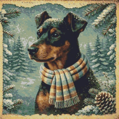 German pinscher puppy dog - pinscher,