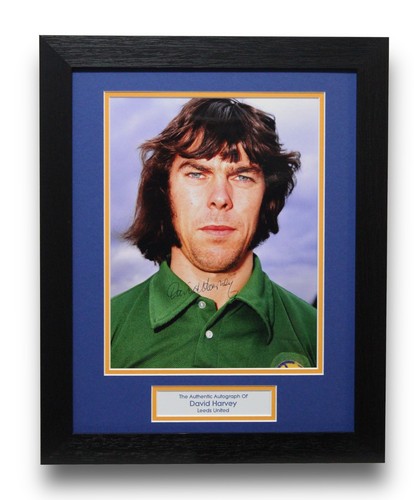 David harvey framed leeds - harvey,