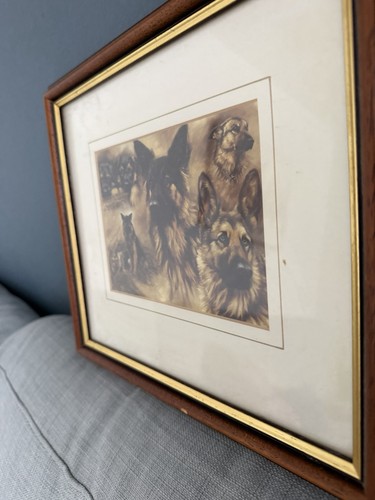 Framed german shepherd gsd - shepherd, art
