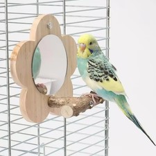 Bird mirror with perch hanging - mirror,