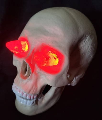 Human skull crystal - human, skulls