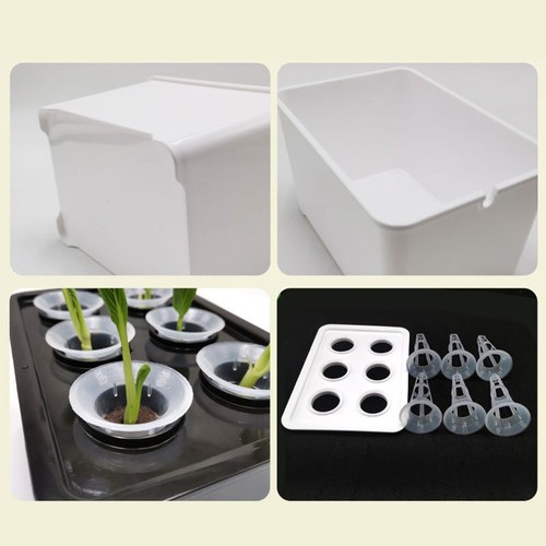 Self watering indoor plant - self,