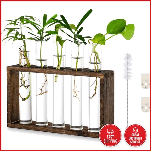 Elegant tabletop glass plant - tabletop,