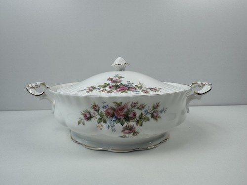 Royal albert moss rose - moss,