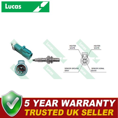 For ford focus honda - for,