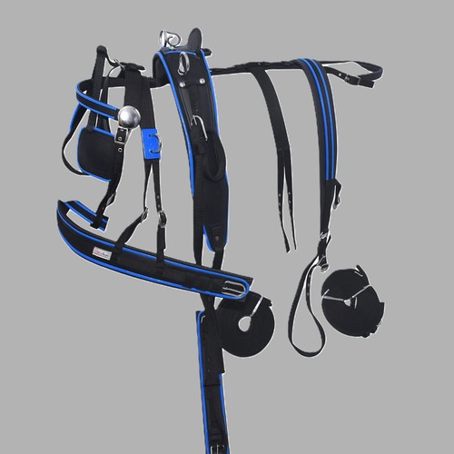 Nylon webbing driving harness