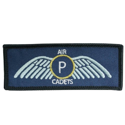 Acps gold wings badge - gold,