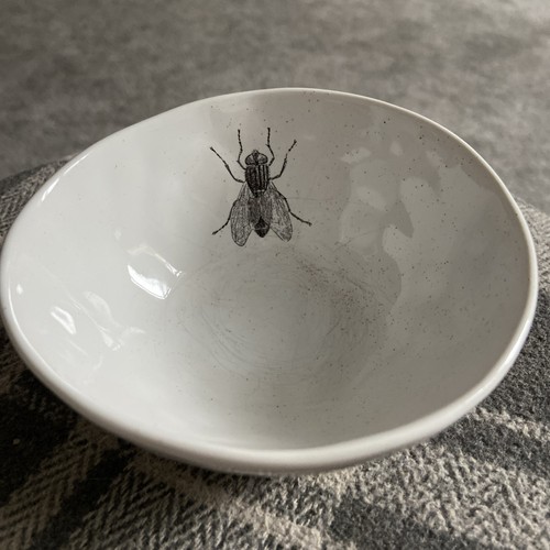 Magpie adorn collection - magpie,