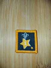 UK Scouting Current Joining In