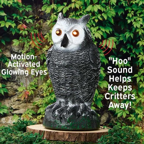 Motion activated light - motion, sound