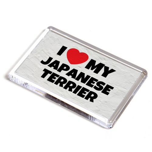 Fridge magnet love - fridge,