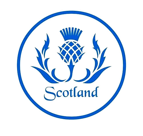 Large scotland thistle - 20", car