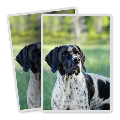 Vertical vinyl stickers - vinyl,