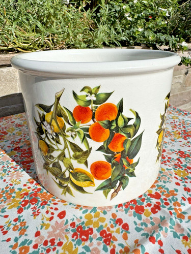 Portmerion oranges lemons - portmerion,