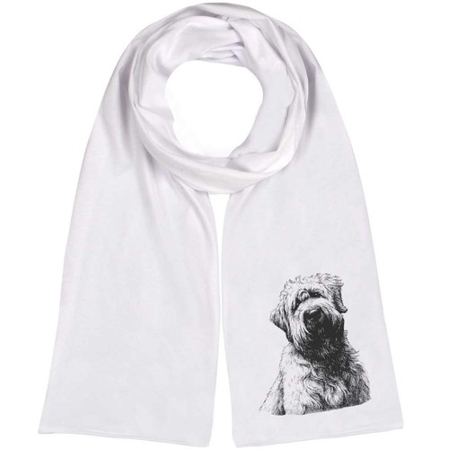 Soft coated wheaten terrier - coated, terrier'