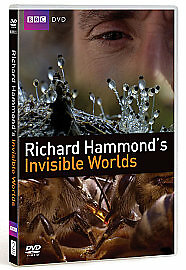 Richard hammond invisible - richard, hammond's