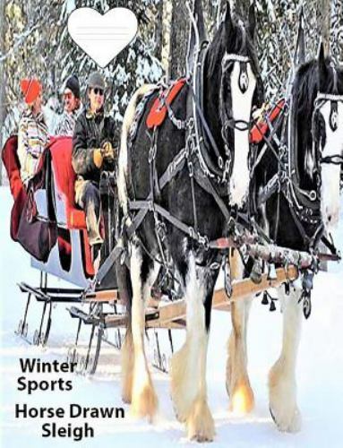 Winter sport horse drawn - sport,