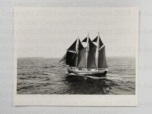 Tall ships race 1978 - tall, three