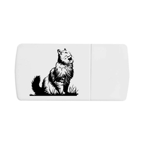 Siberian cat looking up - cat,