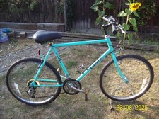 vintage gents raleigh lizard terrain mountain bike PICK UP ONLY