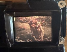 8mm Film Lady Of The Flowers