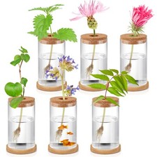 6 Pcs Plant Terrarium Desktop