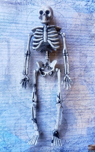 Skeleton 12th scale - 1:12th,