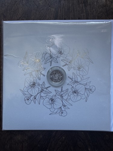 2026 solid silver 925 - 2026,