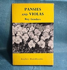 Pansies And Violas by Roy