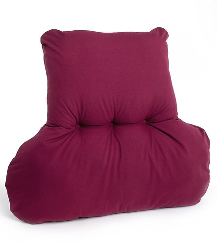 Chair back support - chair, cushion
