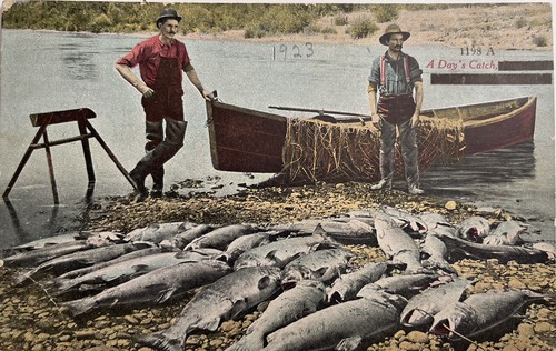 Days catch fishing row boat - days,
