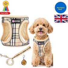 3Pcs Dog Harness and Lead Set