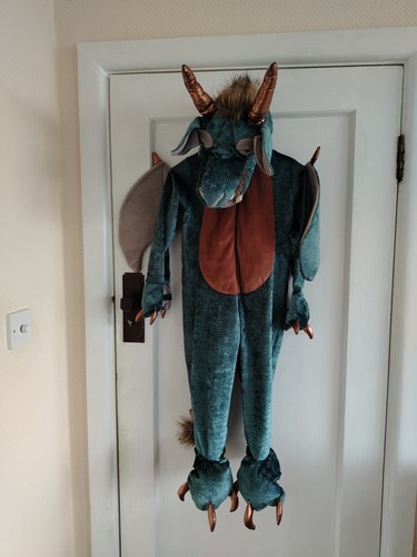 Dragon fancy dress - dragon, age