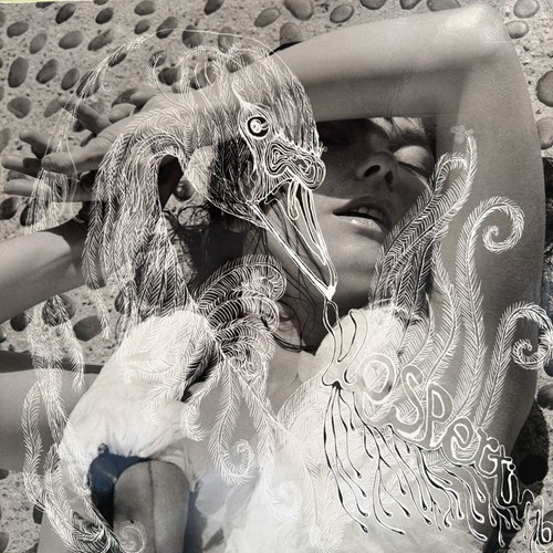 Björk vespertine 2 - björk,