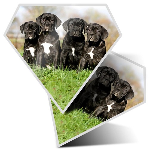 Diamond shape vinyl - diamond,