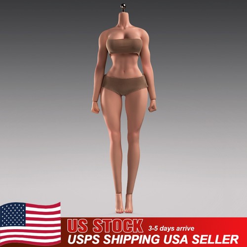 Ant t307 female fitness - t307,