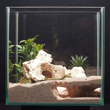 Hidden Corner Cave - Aquarium
