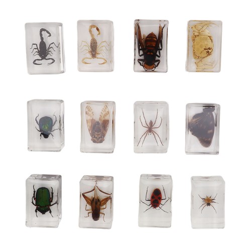 12x real bug - 12x, specimens