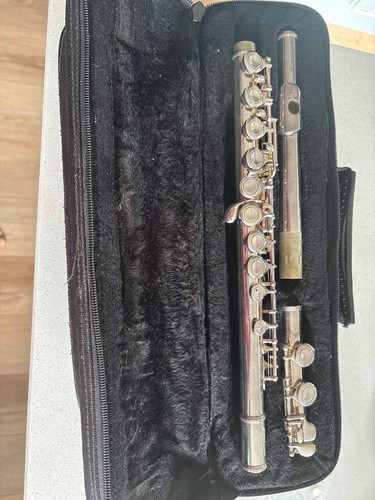 Stagg flute with soft - , case