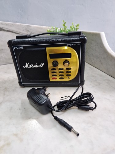Marshall pure evoke radio - 1s,