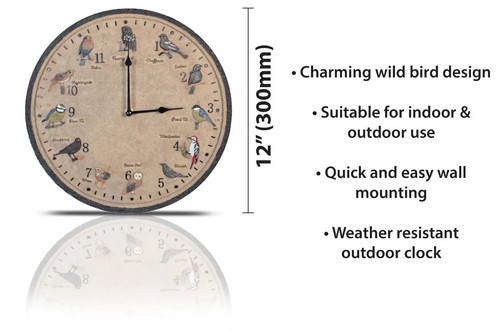 Wall clock wild - wall, birds