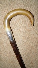 Edwardian Bovine Horn Walking Stick Hallmarked 1909 Silver Norfolk Constabulary