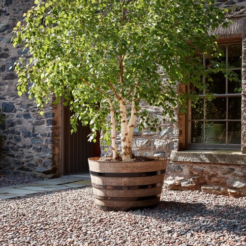 Rustic oak barrel - rustic,
