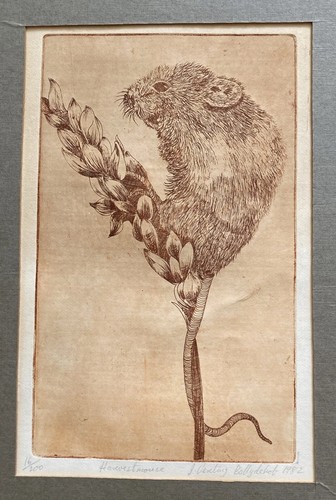 Vintage etching john - by,