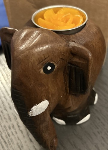 The hippy clothing elephant - the,