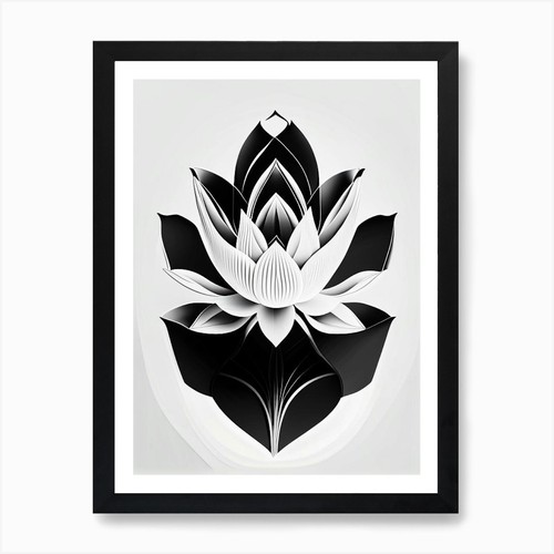 Amur lotus black - lotus,