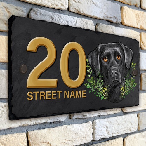Black labrador house - labrador,