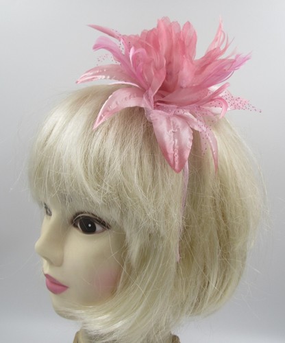 Ladies hair fascinator - hair, flower